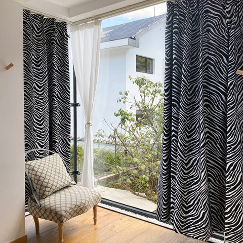 Zebra nera