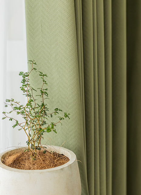 Rideau Vert Foret