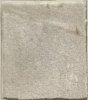 Rideau Occultant Velours Beige Champagne Premium
