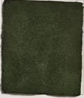 Rideau Occultant Velours Vert Kaki Salon